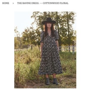 ISO the great ravine dress in cottonwood floral